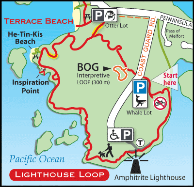 Ucluelet's Wild Pacific Trail Lighthouse loop section