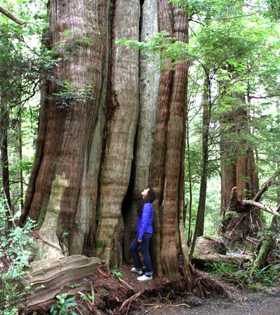 Cedar Snag and North Star Loop, British Columbia, Canada - 16